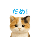 夏を楽しむ♪ぬいぐるみ三毛猫スタンプ（個別スタンプ：15）