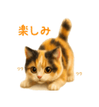 夏を楽しむ♪ぬいぐるみ三毛猫スタンプ（個別スタンプ：19）