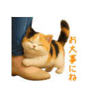 夏を楽しむ♪ぬいぐるみ三毛猫スタンプ（個別スタンプ：20）