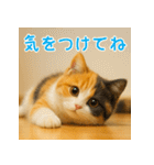 夏を楽しむ♪ぬいぐるみ三毛猫スタンプ（個別スタンプ：21）