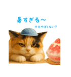 夏を楽しむ♪ぬいぐるみ三毛猫スタンプ（個別スタンプ：25）