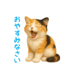 夏を楽しむ♪ぬいぐるみ三毛猫スタンプ（個別スタンプ：32）