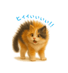 夏を楽しむ♪ぬいぐるみ三毛猫スタンプ（個別スタンプ：39）