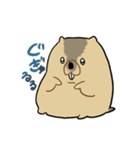ふくよかまーもっと（個別スタンプ：8）