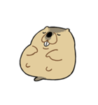 ふくよかまーもっと（個別スタンプ：9）