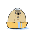 ふくよかまーもっと（個別スタンプ：11）