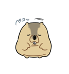 ふくよかまーもっと（個別スタンプ：13）