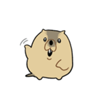 ふくよかまーもっと（個別スタンプ：14）
