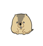 ふくよかまーもっと（個別スタンプ：16）