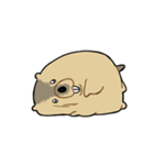 ふくよかまーもっと（個別スタンプ：17）