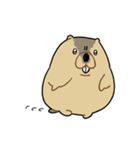 ふくよかまーもっと（個別スタンプ：18）
