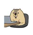 ふくよかまーもっと（個別スタンプ：23）