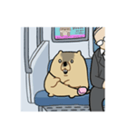 ふくよかまーもっと（個別スタンプ：24）