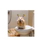 ハムスターが動きます4（個別スタンプ：24）
