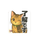 大豆ちゃん猫スタンプ（個別スタンプ：1）