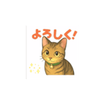 大豆ちゃん猫スタンプ（個別スタンプ：3）