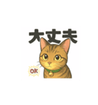 大豆ちゃん猫スタンプ（個別スタンプ：8）