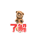 お酒とネコ好きな日常会話38（個別スタンプ：9）