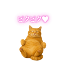 セクシー・煽る・爆笑＠日常会話で使える猫（個別スタンプ：7）