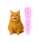 セクシー・煽る・爆笑＠日常会話で使える猫（個別スタンプ：12）