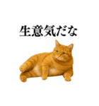 セクシー・煽る・爆笑＠日常会話で使える猫（個別スタンプ：13）