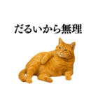 セクシー・煽る・爆笑＠日常会話で使える猫（個別スタンプ：15）