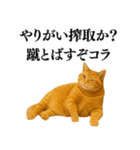 セクシー・煽る・爆笑＠日常会話で使える猫（個別スタンプ：16）