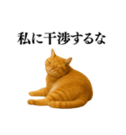セクシー・煽る・爆笑＠日常会話で使える猫（個別スタンプ：17）