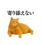 セクシー・煽る・爆笑＠日常会話で使える猫（個別スタンプ：21）