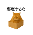 セクシー・煽る・爆笑＠日常会話で使える猫（個別スタンプ：28）