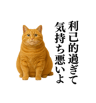 セクシー・煽る・爆笑＠日常会話で使える猫（個別スタンプ：34）