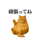 セクシー・煽る・爆笑＠日常会話で使える猫（個別スタンプ：35）