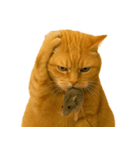 セクシー・煽る・爆笑＠日常会話で使える猫（個別スタンプ：39）