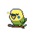 ドット絵セキセイインコちゃん（個別スタンプ：4）