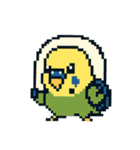 ドット絵セキセイインコちゃん（個別スタンプ：6）