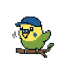 ドット絵セキセイインコちゃん（個別スタンプ：7）
