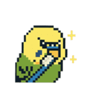 ドット絵セキセイインコちゃん（個別スタンプ：8）