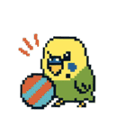 ドット絵セキセイインコちゃん（個別スタンプ：10）