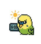 ドット絵セキセイインコちゃん（個別スタンプ：13）