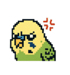ドット絵セキセイインコちゃん（個別スタンプ：15）