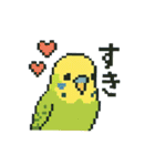 ドット絵セキセイインコちゃん（個別スタンプ：16）