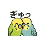 ドット絵セキセイインコちゃん（個別スタンプ：17）