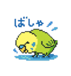 ドット絵セキセイインコちゃん（個別スタンプ：19）