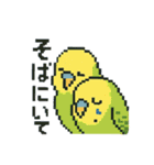 ドット絵セキセイインコちゃん（個別スタンプ：20）