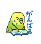 ドット絵セキセイインコちゃん（個別スタンプ：21）