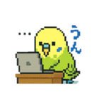 ドット絵セキセイインコちゃん（個別スタンプ：23）