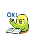 ドット絵セキセイインコちゃん（個別スタンプ：24）