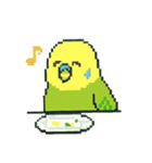 ドット絵セキセイインコちゃん（個別スタンプ：30）