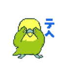 ドット絵セキセイインコちゃん（個別スタンプ：37）