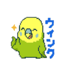ドット絵セキセイインコちゃん（個別スタンプ：38）